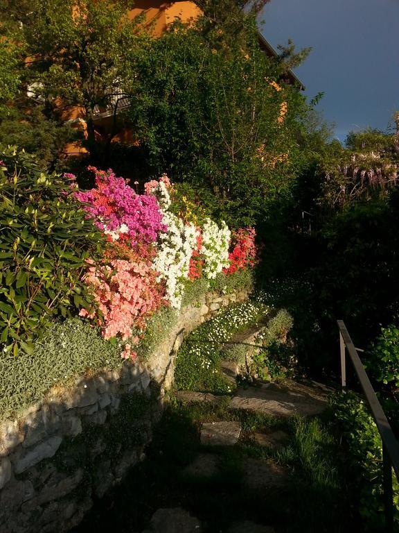 Casa Vacanze Le Violette Villa Brunate Exteriör bild