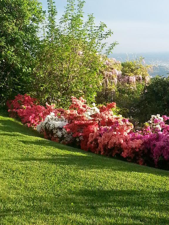 Casa Vacanze Le Violette Villa Brunate Exteriör bild