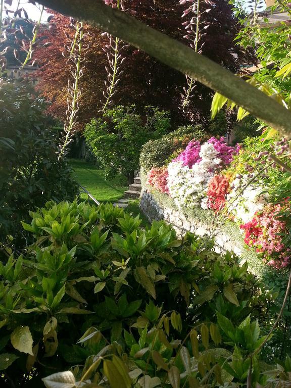 Casa Vacanze Le Violette Villa Brunate Rum bild