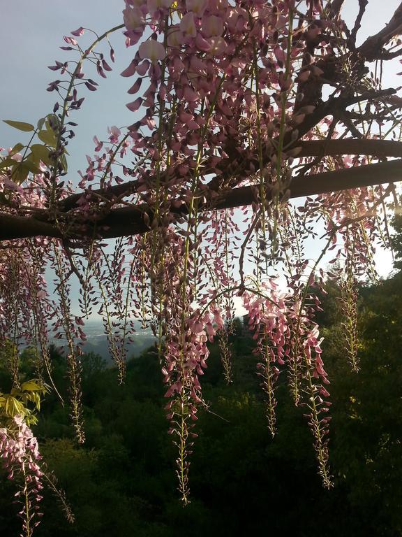 Casa Vacanze Le Violette Villa Brunate Exteriör bild